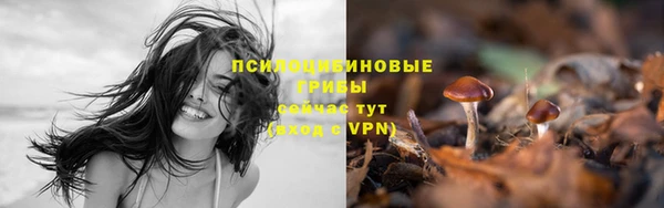 соль курить ск Осинники