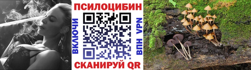 Галлюциногенные грибы GOLDEN TEACHER  Бердск 