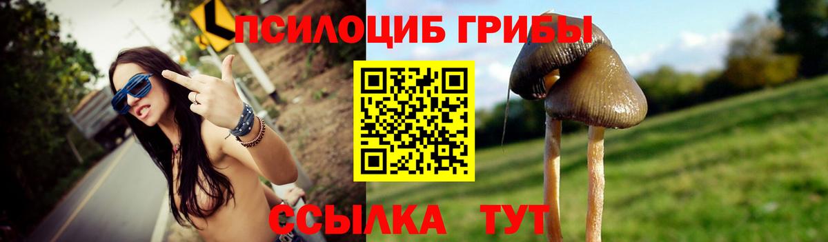 Бердск  Галлюциногенные грибы ЛСД  Галлюциногенные грибы ЛСД  Вход с VPN 